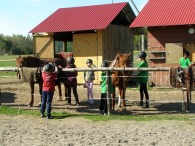 Siodła też czyścimy.
