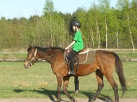 Jak to było z tym poganianiem w kłusie?