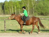 Dziwnie się ta Roska zachowuje.
