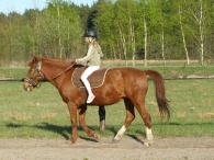 Sporo trzeba sobie przypomnieć!