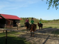 Już trochę lepiej.
